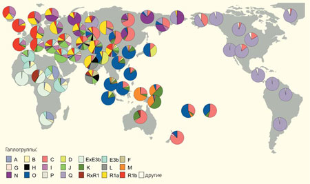 Рис.5. Географическое распределение Y-гаплогрупп (http://commons.wikimedia.org/wiki, с изменениями). Каждый кружок показывает соотношение различных гаплогрупп в населении данного региона (расцветка гаплогрупп здесь отличается от той, что представлена на рис.2). Если бы на эту карту были нанесены данные по всем народам и районам мира, мы получили бы тот самый многоцветный ковер, о котором говорится в тексте